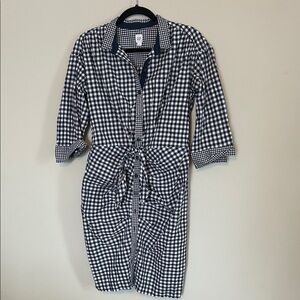 GAP Blue and White Gingham Shirt Dress